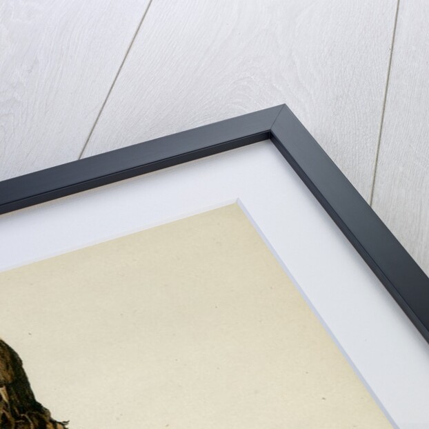 Caricature of Henry Fawcett by Melchiorre De Filippis Delfico