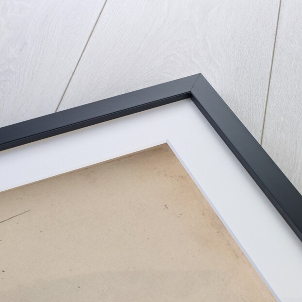 John dory by Unknown