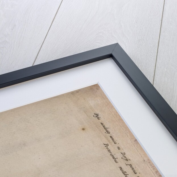 Brazilian fish by Unknown