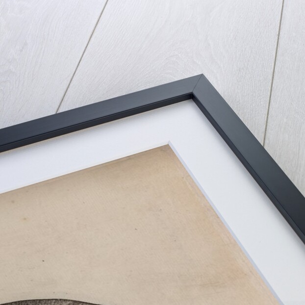 Gilt-head bream by Unknown