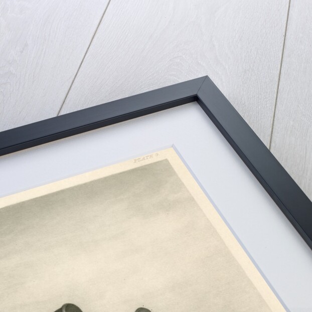 Statues of Bastet by James Faed