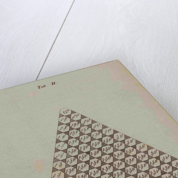 Colour triangle by Tobias Mayer