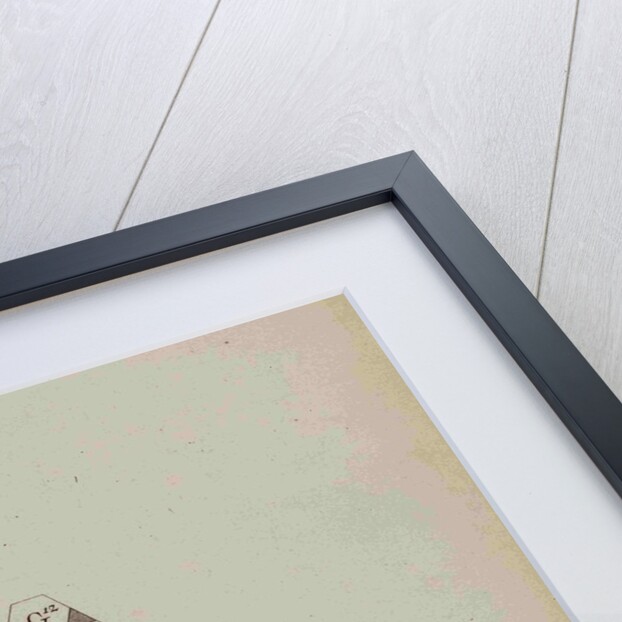 Colour triangle by Tobias Mayer