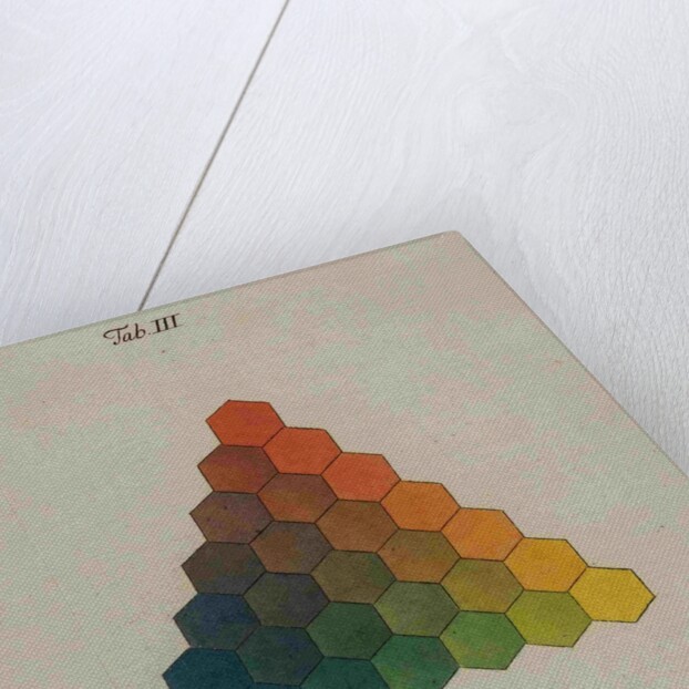 Colour triangle by Tobias Mayer