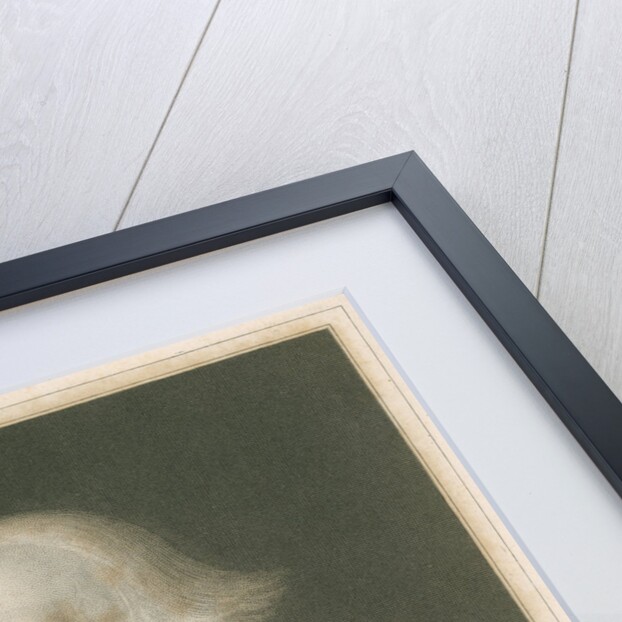 Portrait of Joseph Louis Lagrange (1736-1813) by Robert Hart