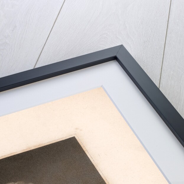 Portrait of Pierre-Simon Laplace (1749-1827) by James Posselwhite