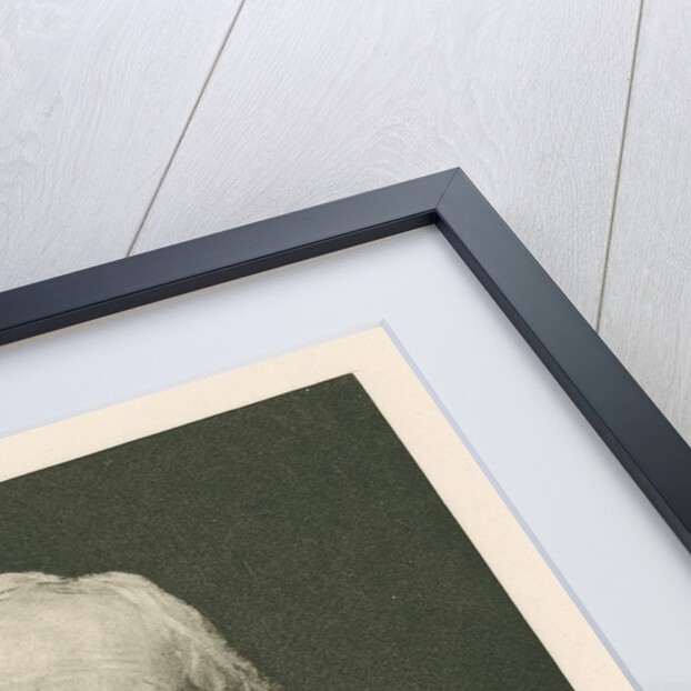 Portrait of John Bennet Lawes (1814-1900) by Walker & Boutall