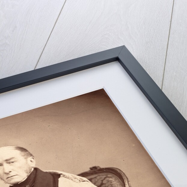 Portrait of John William Lubbock (1803-1865) by Alphonse Le Blondel