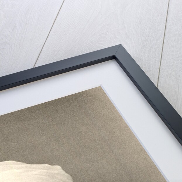 Portrait of Chandrasekhara Venkata Raman (1888-1970) by Anonymous