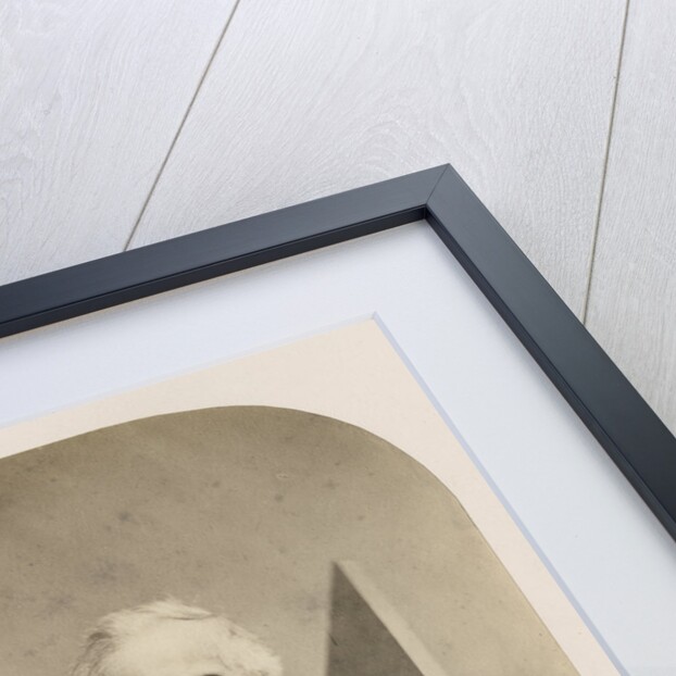 Portrait of Adam Sedgwick (1785-1873) by Robert Hills