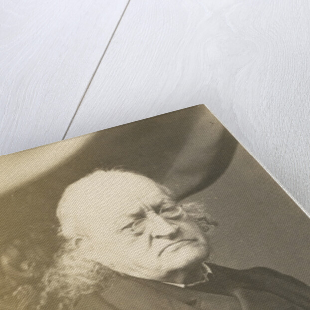 Portrait of John Bowring (1792-1872) by Wilson & Beadell