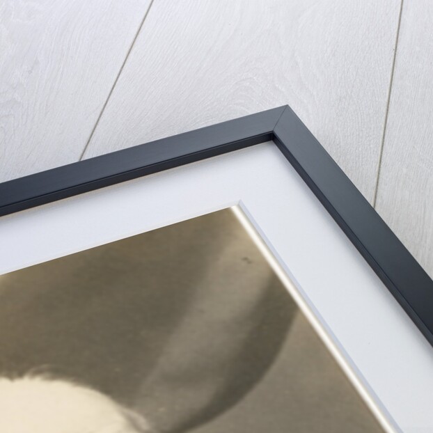 Portrait of John Bowring (1792-1872) by Wilson & Beadell