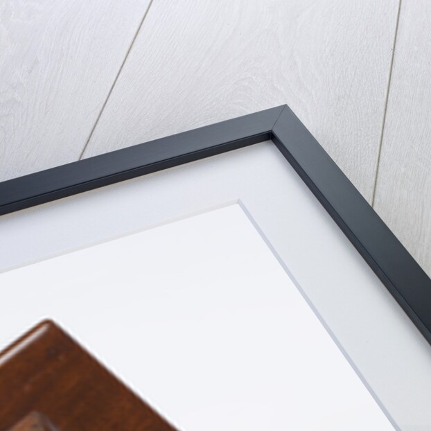 Lock of Newton's hair by Anonymous