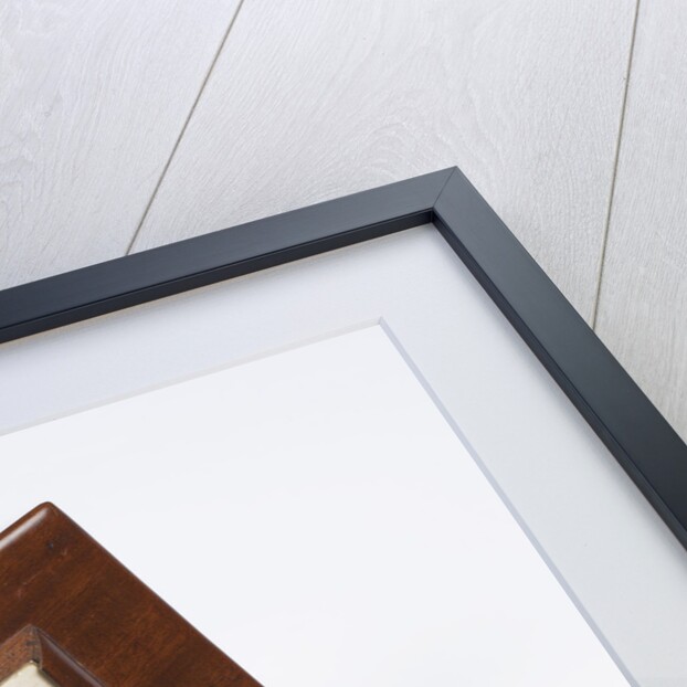 Lock of Newton's hair by Anonymous