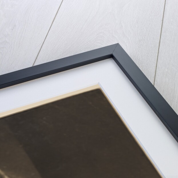 Portrait of John Ellicott (1701-1772) by Robert Dunkarton