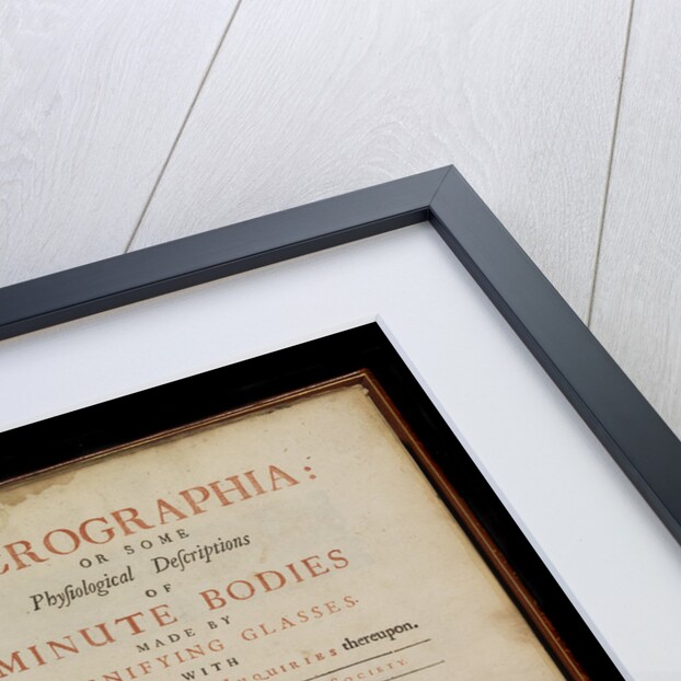 Title page of Robert Hooke's 'Micrographia' by Robert Hooke