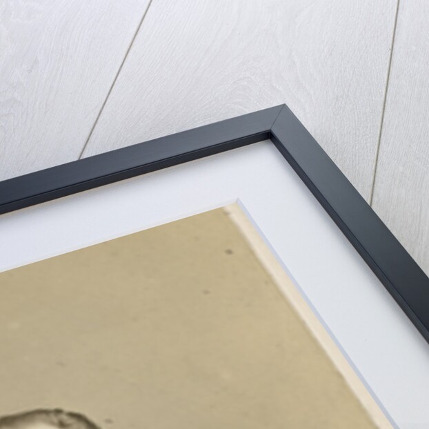 Portrait of Thomas Spencer Cobbold (1828-1886) by Ernest Edwards