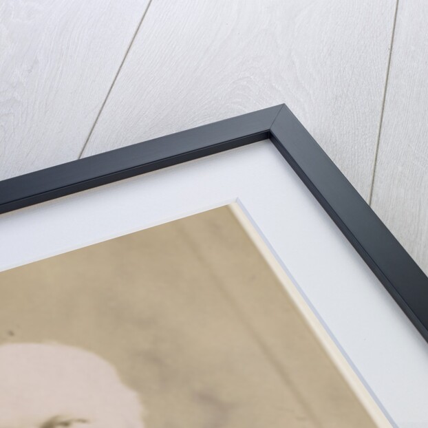 Portrait of William Anderson (1835-1898) by Maull & Fox