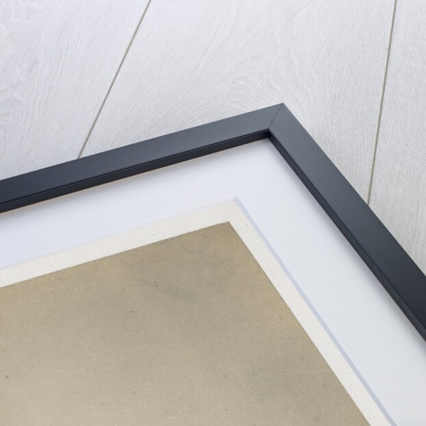 Portrait of William Henry Barlow (1812-1902) by Maull & Polyblank