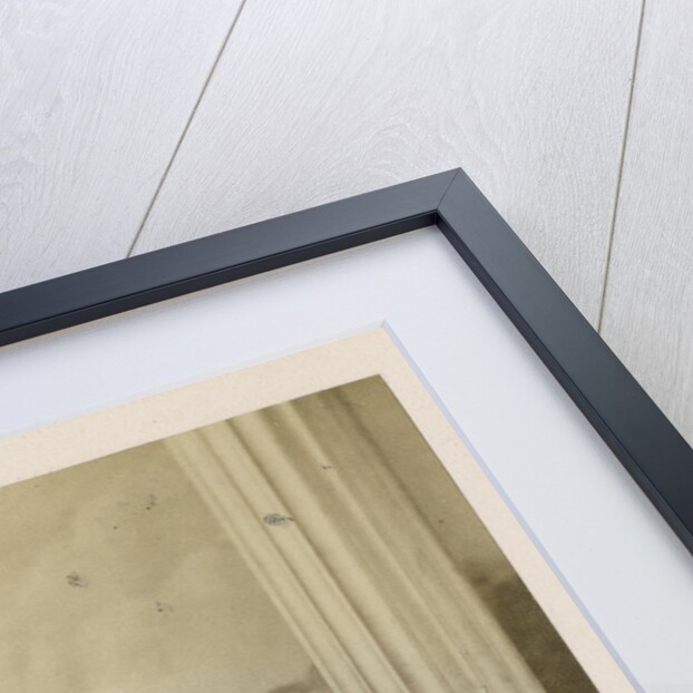 Portrait of James Bateman (1811-1897) by Maull & Co