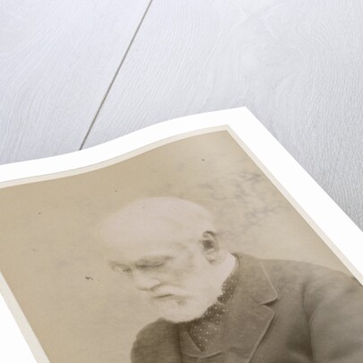 Portrait of John Frederic La Trobe Bateman (1810-1889) by Maull & Fox