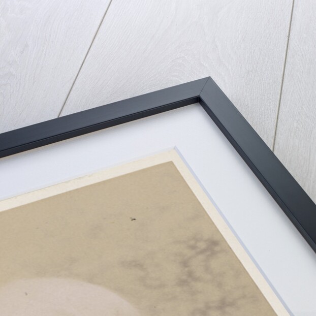 Portrait of John Frederic La Trobe Bateman (1810-1889) by Maull & Fox