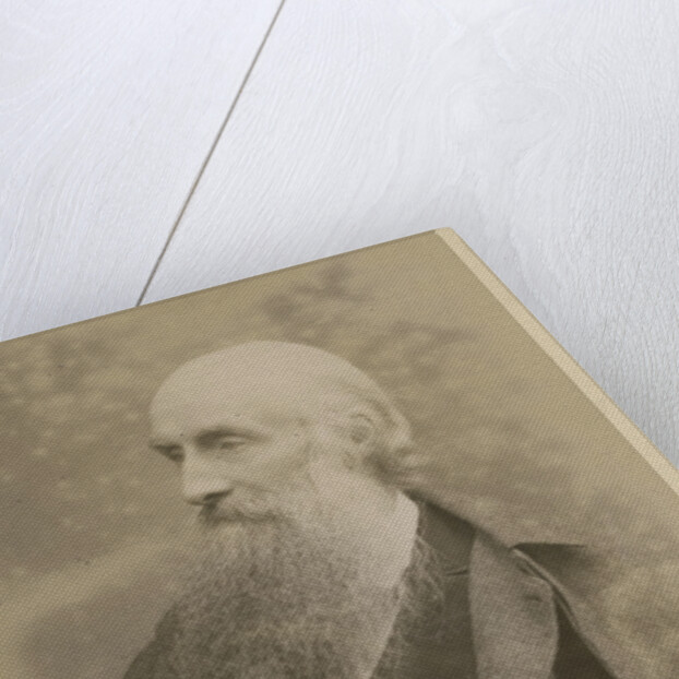 Portrait of John Beddoe (1826-1911) by Maull & Fox