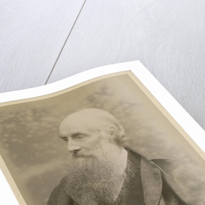Portrait of John Beddoe (1826-1911) by Maull & Fox