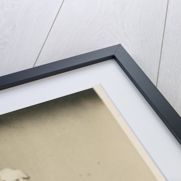 Portrait of John Joseph Bennett 91801-1876) by Maull & Polyblank