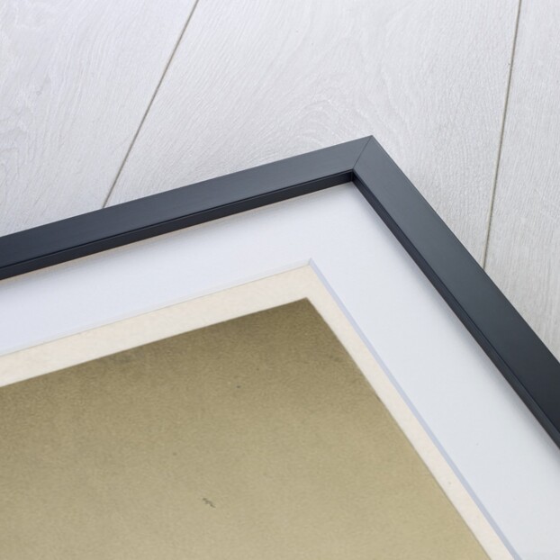 Portrait of Robert Bickersteth (1816-1884) by Maull & Polyblank