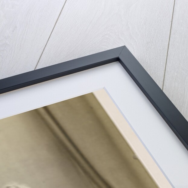 Portrait of Archibald Billing (1791-1881) by Maull & Co