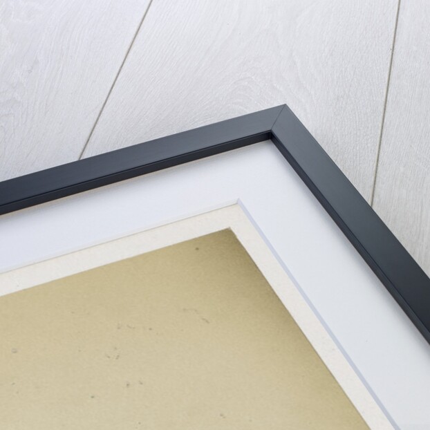 Portrait of John George Bonner (1783-1867) by Maull & Polyblank