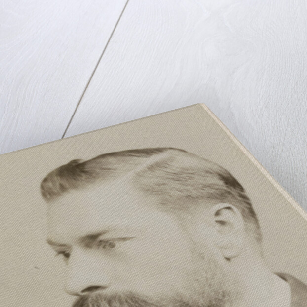 Portrait of Frederick Orpen Bower (1855-1948) by Maull & Fox