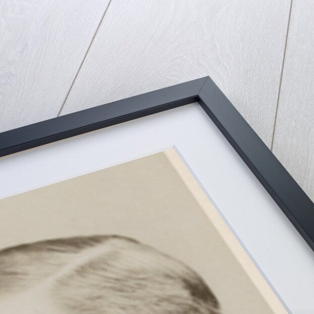 Portrait of Frederick Orpen Bower (1855-1948) by Maull & Fox