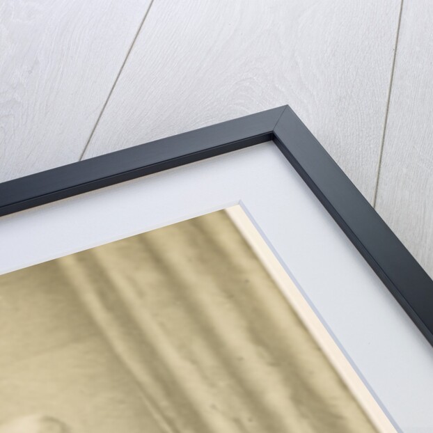 Portrait of James Scott Bowerbank (1797-1877) by Maull & Polyblank