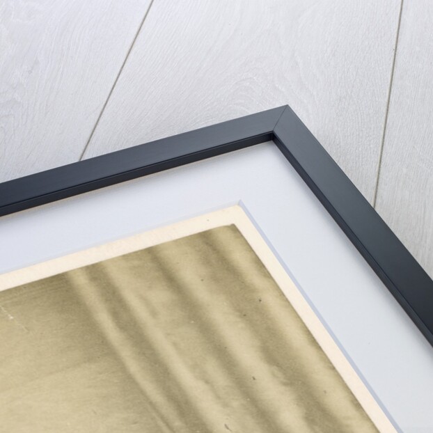 Portrait of James Scott Bowerbank (1797-1877) by Maull & Polyblank