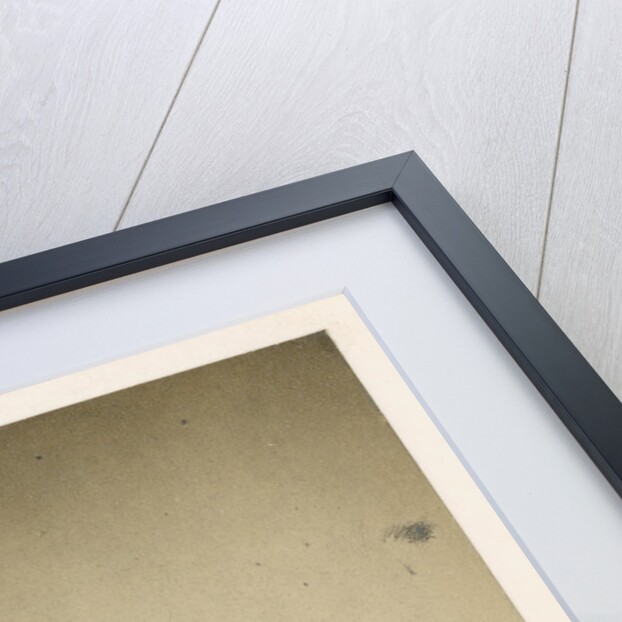 Portrait of John Bowring (1792-1872) by Maull & Polyblank