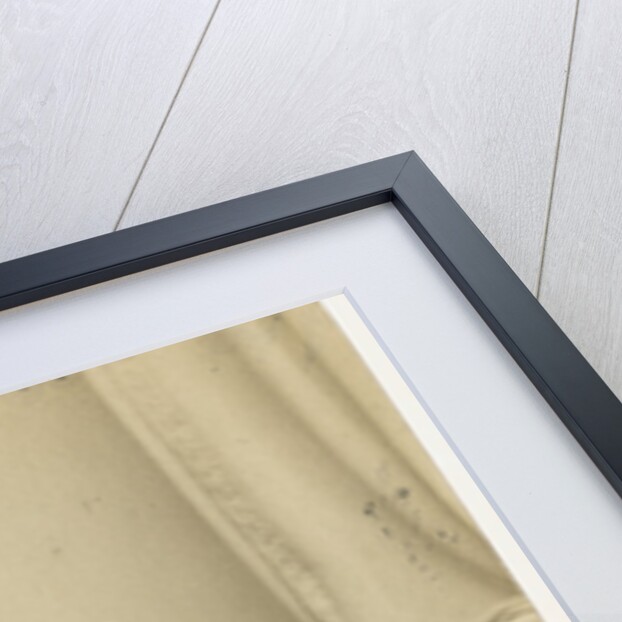 Portrait of William Thomas Brande (1788-1866) by Maull & Polyblank