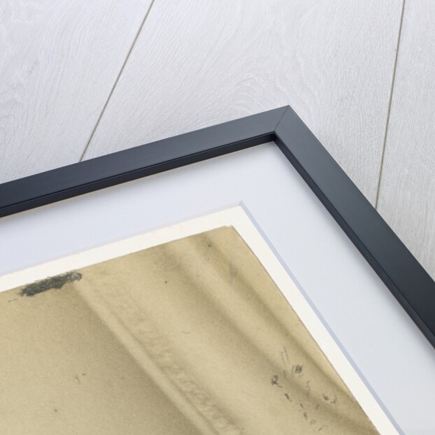 Portrait of William Thomas Brande (1788-1866) by Maull & Polyblank