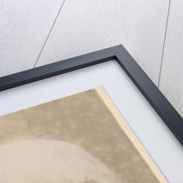 Portrait of John Charles Bucknill (1817-1897) by Maull & Fox