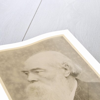 Portrait of John Charles Bucknill (1817-1897) by Maull & Fox