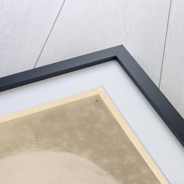 Portrait of John Charles Bucknill (1817-1897) by Maull & Fox