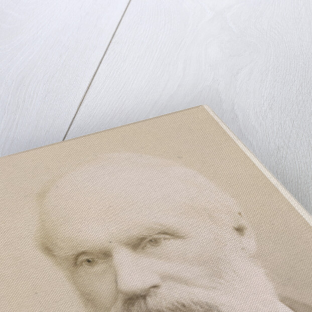 Portrait of Samuel Hawkesley Burbury (1831-1911) by Maull & Fox