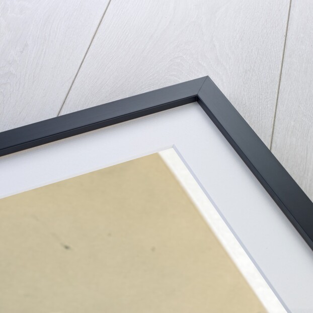 Portrait of Thomas Burnet (d.1875) by Maull & Polyblank