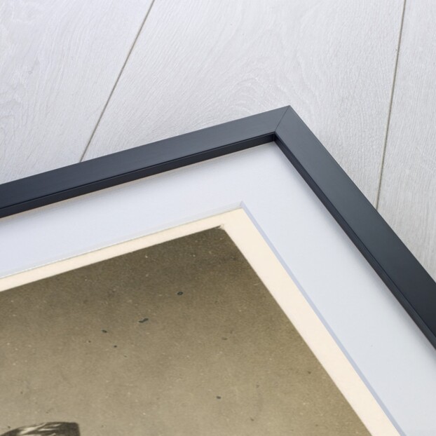 Portrait of George Stevens Byng, 2nd Earl of Stafford (1806-1886) by Maull & Polyblank