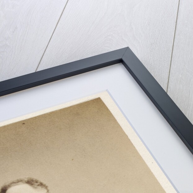 Portrait of James Challis (1803-1882) by Maull & Polyblank