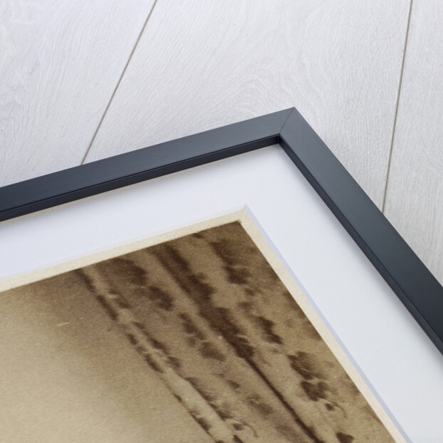 Portrait of Henry Christmas (1811-1868) by Maull & Polyblank