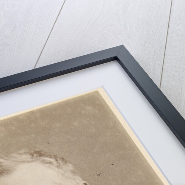 Portrait of Charles Baron Clarke (1832-1906) by Maull & Fox