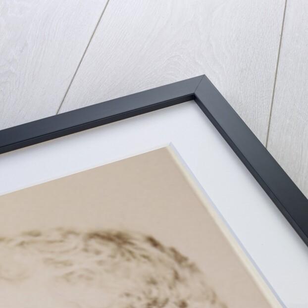 Portrait of John Cleland (1835-1925) by Maull & Fox