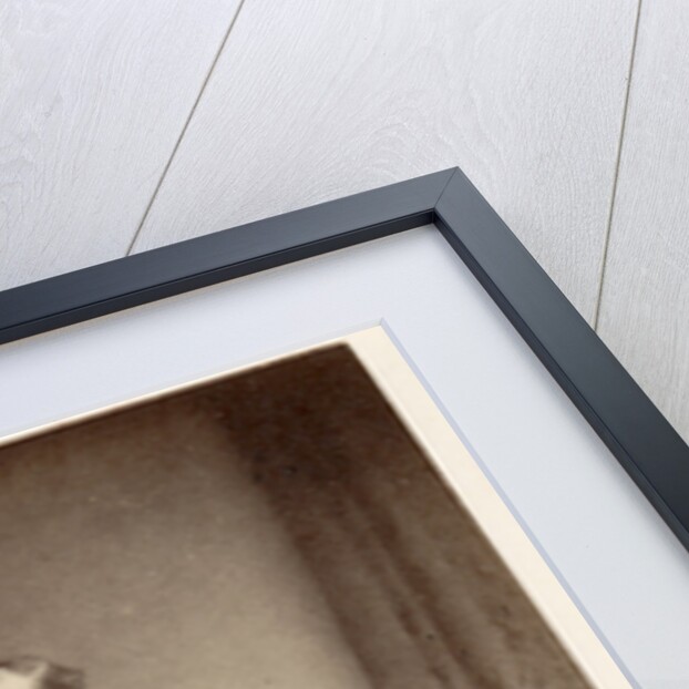 Portrait of William Willoughby Cole, 3rd Earl of Enniskillen (1807-1886) by Maull & Polyblank